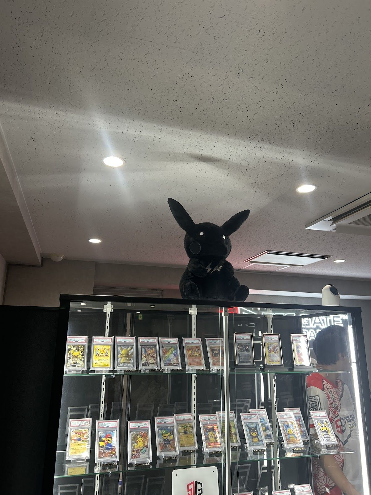 PSA10鑑定ポケモンカードのショーケース